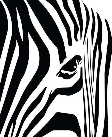 Abstract blank and white stripes depicting a zebra のイラスト素材