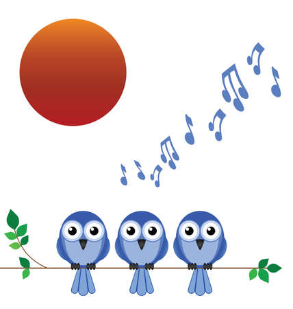 Morning dawn chorus of birdsong against a rising sunのイラスト素材