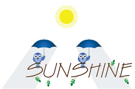 Sunshine twig text isolated on white backgroundのイラスト素材