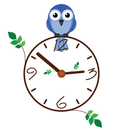 Twig clock and bird isolated on white backgroundのイラスト素材