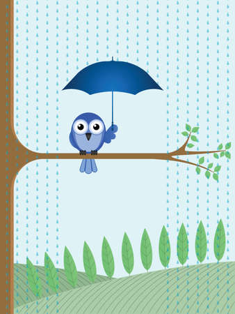 Bird sheltering from the rain sat on a tree branchのイラスト素材