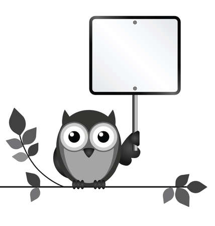 Owl with blank sign copy space for own text isolated on white backgroundのイラスト素材