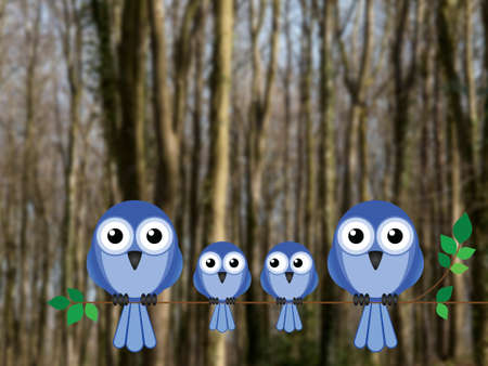 Family of birds perched on a tree branch against a blurred woodland backgroundの写真素材