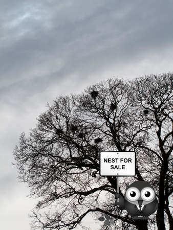 Comical bird estate agent advertising nest for sale