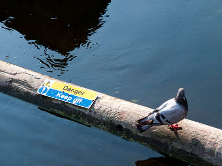Floating timber boom on river to stop the progress of floating debris with danger keep off signの写真素材