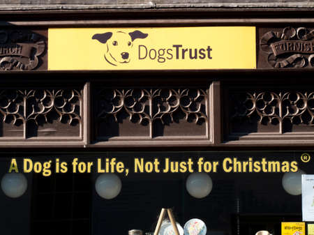 Dog Trust animal charity shop with a dog is for life not just for Christmas messageのeditorial素材