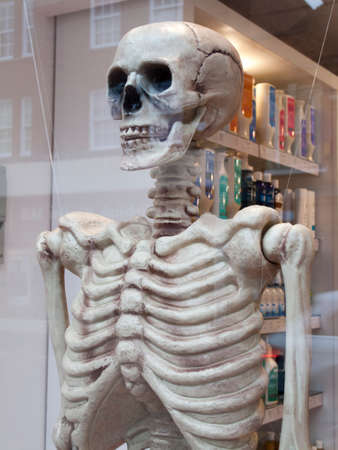 Human skeleton in retail shop window during Halloween celebrationsのeditorial素材