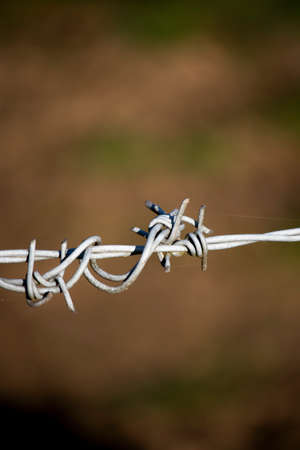 Isolated barbed wired fence providing security to farmland in rural Hampshire
