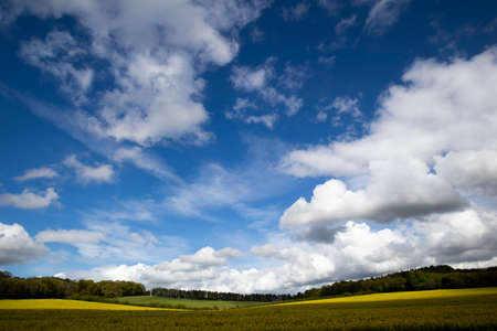 Rapeseed spring crop on farmland in rural Hampshire, member of the family Brassicaceae and cultivated mainly for its oil rich seed set against a dramatic cloudy skyの写真素材