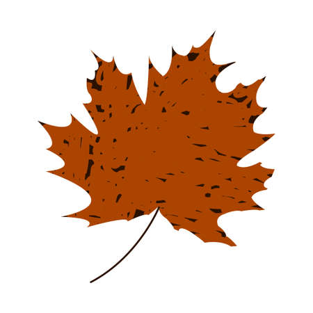 Maple leaf. Thumbnail in the vector. Templateのイラスト素材