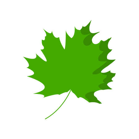 Maple leaf is isolated on a transparent background. Simple design. Vector illustrationのイラスト素材