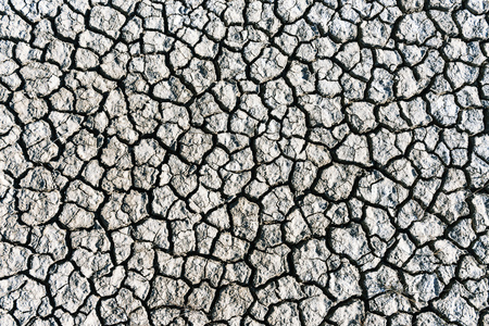Cracked soil texture