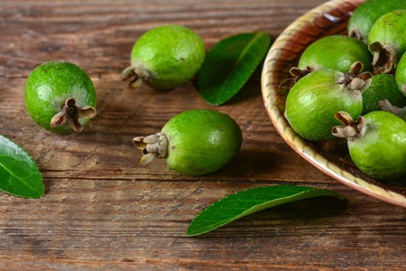 Feijoa fruitの写真素材