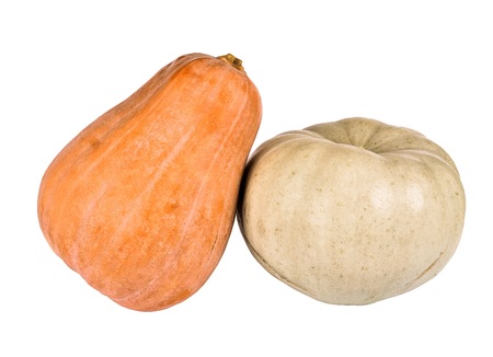 Pumpkin on white background