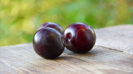 Plums on a wooden table in the gardenの写真素材