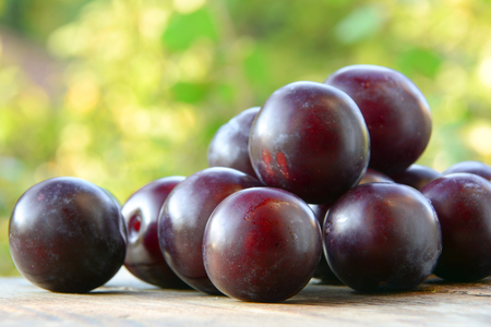 Plums on a wooden table in the gardenの写真素材
