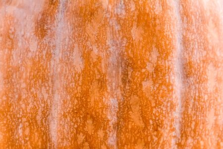 Pumpkin peel backgroundの写真素材