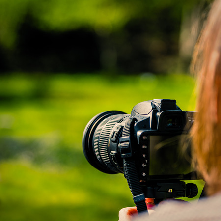 Nature photographer in forest