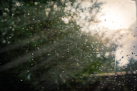 Sunlight through a window with a wet gridの写真素材