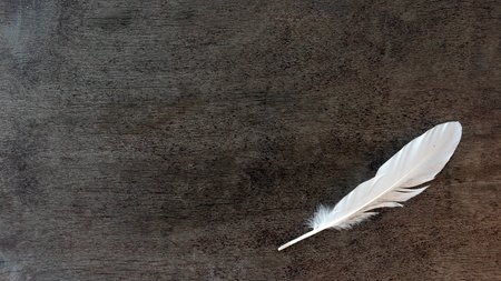 Feather on old wooden backgroundの写真素材