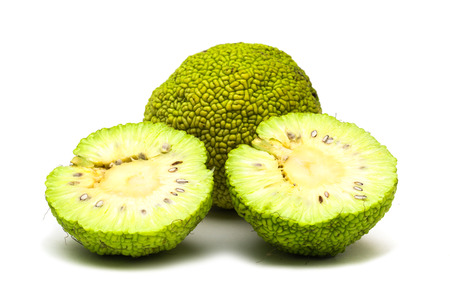 Maclura pomifera fruit isolated on white backgroundの写真素材