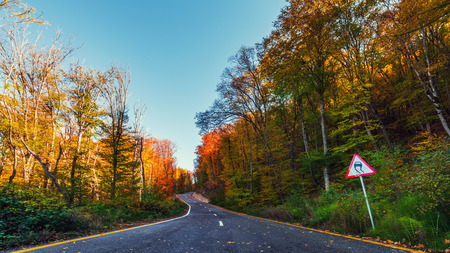 Highway in the colorful autumn mountain forestの写真素材