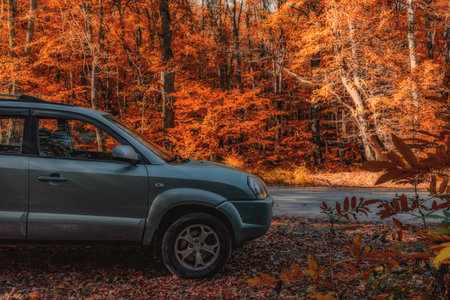 Tartu, Estonia - October 19, 2018. Crossover Hyundai Tucson in autumn forest