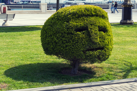 Bush shaped head in city parkの写真素材