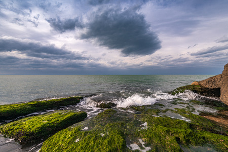 Colorful sea shore with green algae