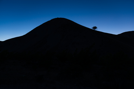Lonely tree on the mountain in the nightの写真素材
