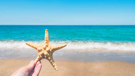 Starfish in hand on ocean backgroundの写真素材