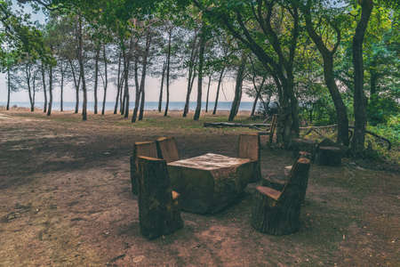 Picnic site with wooden table and benches in forest