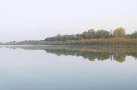 Beautiful reflections on a very still flat river at sunriseの写真素材
