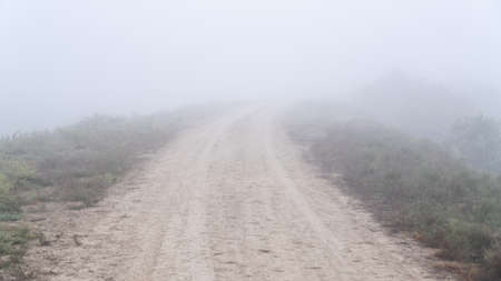 Empty country road in fogの写真素材