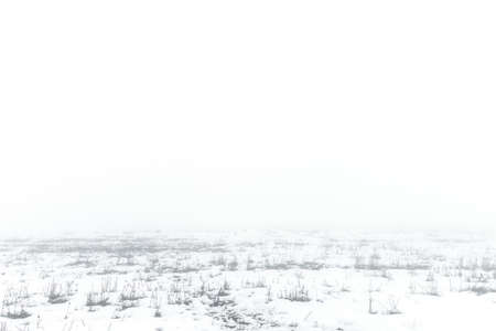 Snowy farm field in fogの写真素材