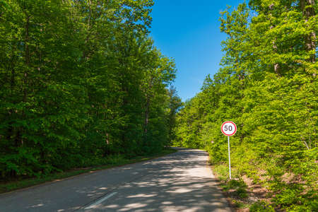 Speed limit sign on forest roadの写真素材