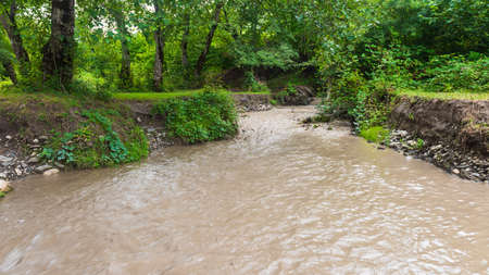 Muddy river in the forest after rainsの写真素材