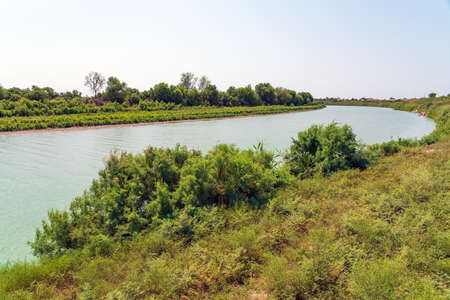 River bed with green trees along the bankの写真素材