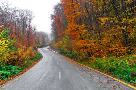 Asphalt road passing through colorful autumn forestの写真素材