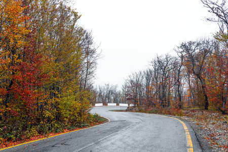 Asphalt road passing through colorful autumn forestの写真素材