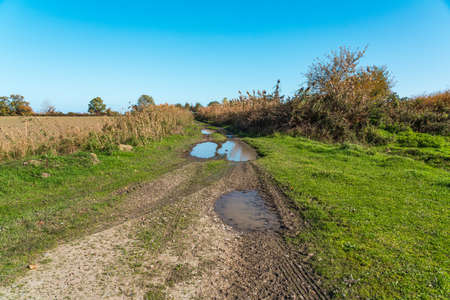 Puddles on a dirt roadの写真素材