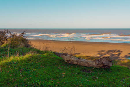 Log on the grass by the seaの写真素材
