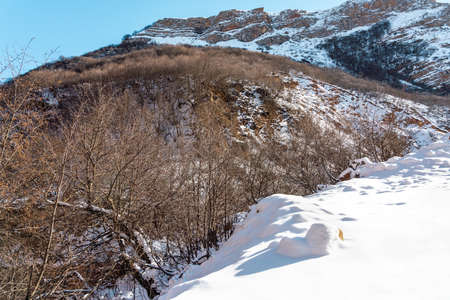 Huge stone covered with snowの写真素材