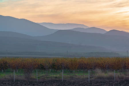 Silhouettes of mountains in the sunset hazeの写真素材