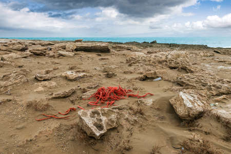 Tangled skein of fishing rope on the seashoreの写真素材
