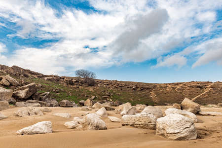 Bare tree on rocks in the highlandsの写真素材