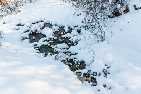 Snow covered stream in the forestの写真素材