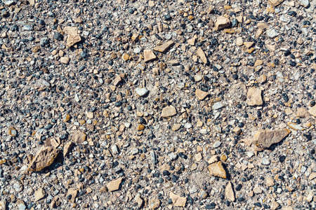 Small scattered stones on the ground backgroundの写真素材
