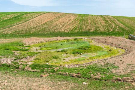 Pond overgrown with mud in the fieldの写真素材