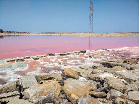 Stone shore of pink salt lakeの写真素材